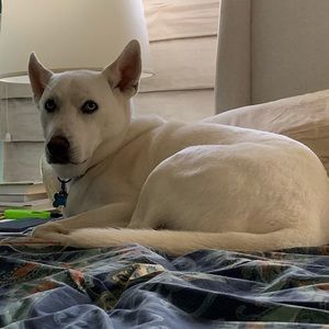 Meet your Posher, Ellie